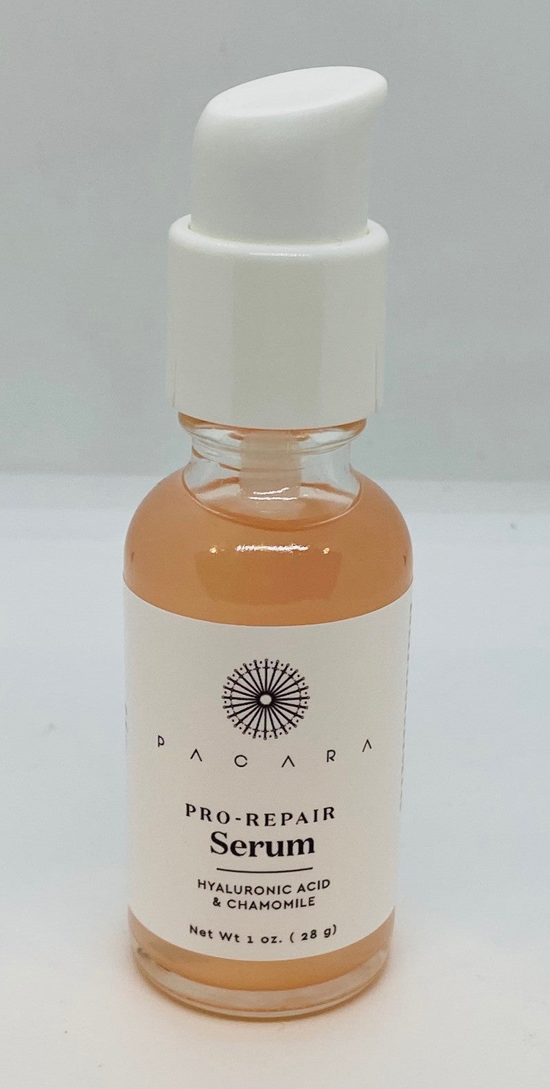 PACARA Pro Repair